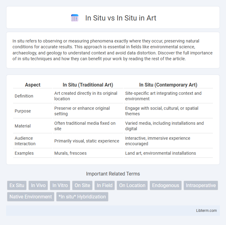 In Situ vs In Situ in Art - What is The Difference?
