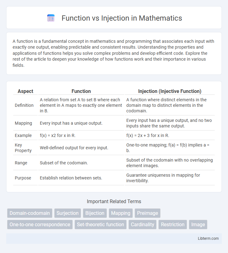 Injection vs Function in Mathematics - What is The Difference?
