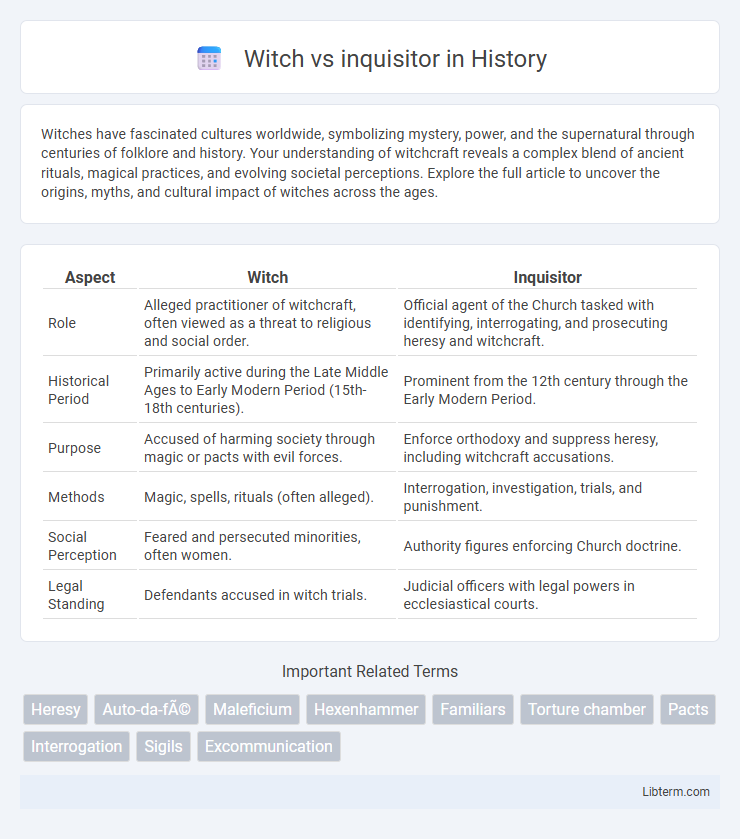 inquisitor vs Witch in History - What is The Difference?