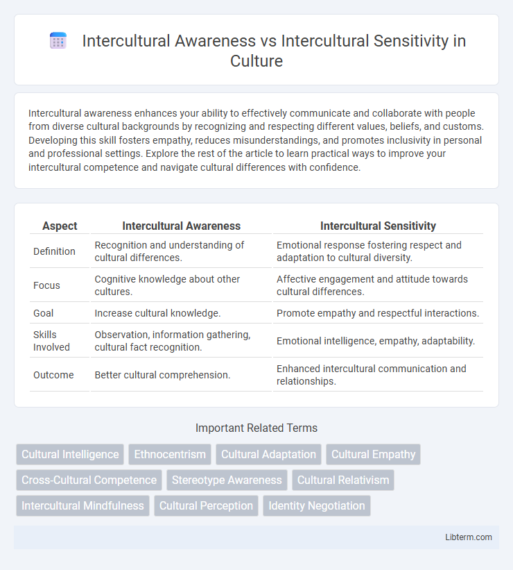 Intercultural Sensitivity vs Intercultural Awareness in Culture - What is The Difference?