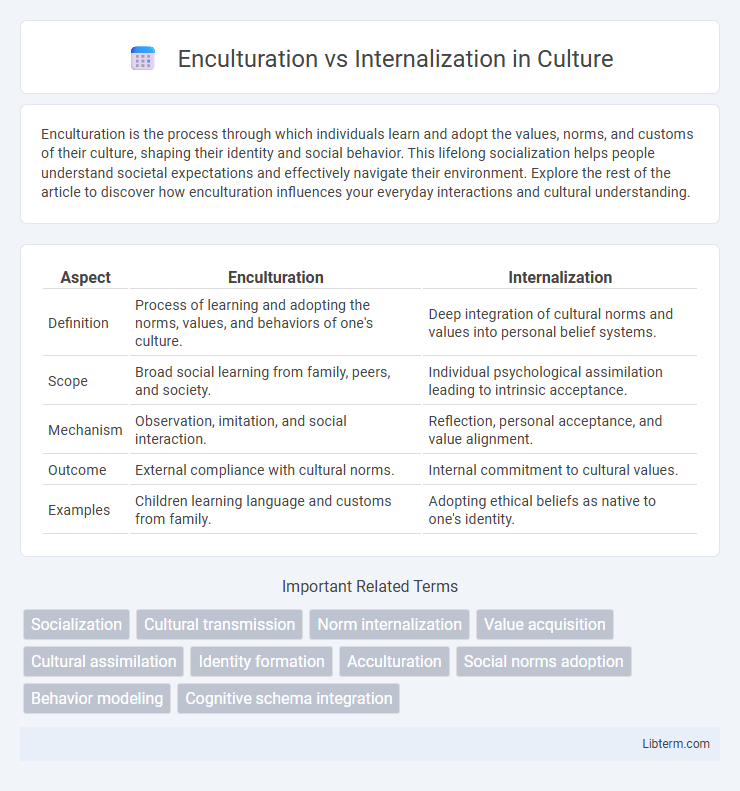 Internalization vs Enculturation in Culture - What is The Difference?