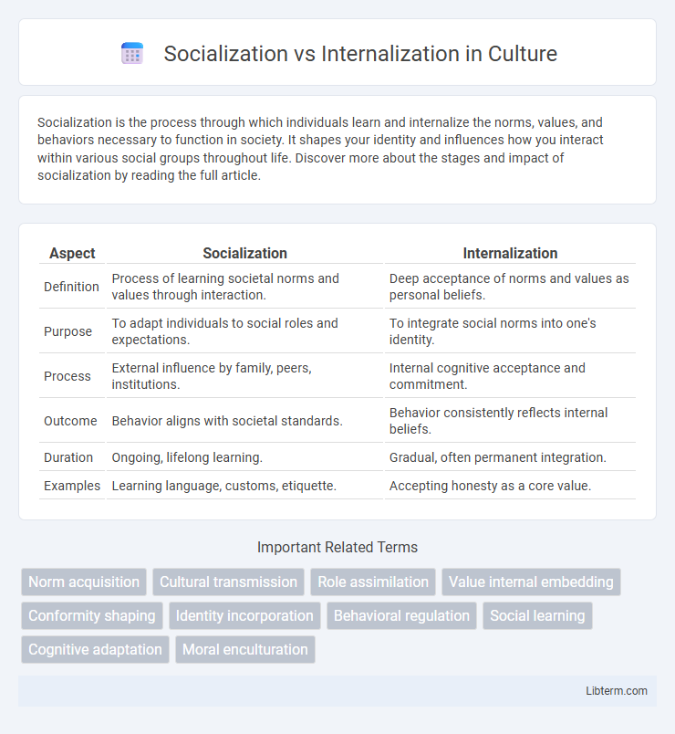 Internalization vs Socialization in Culture - What is The Difference?