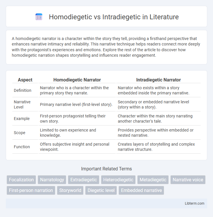 Intradiegetic vs Homodiegetic in Literature - What is The Difference?