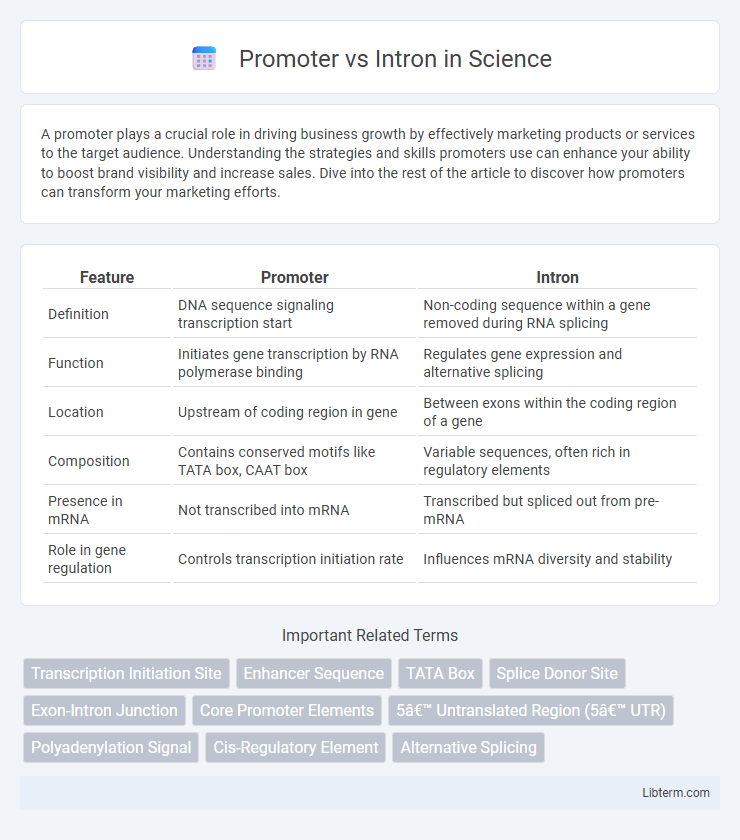 Intron vs Promoter in Science - What is The Difference?