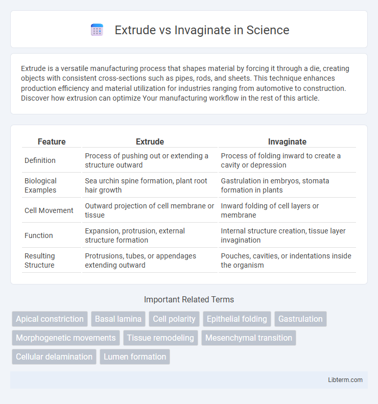 Invaginate vs Extrude in Science - What is The Difference?