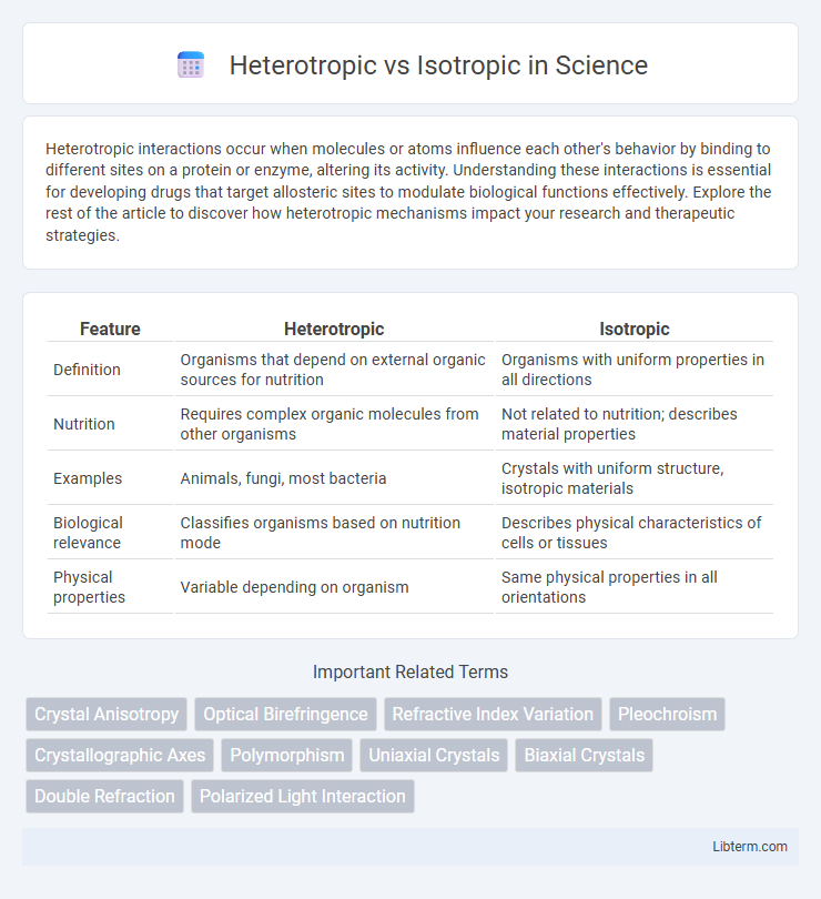 Isotropic vs Heterotropic in Science - What is The Difference?