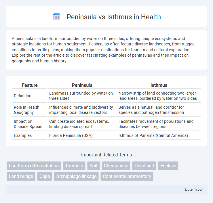Isthmus vs Peninsula in Health - What is The Difference?