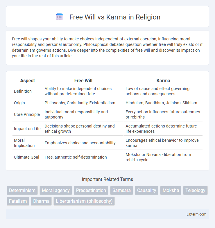 Karma vs Free Will in Religion - What is The Difference?