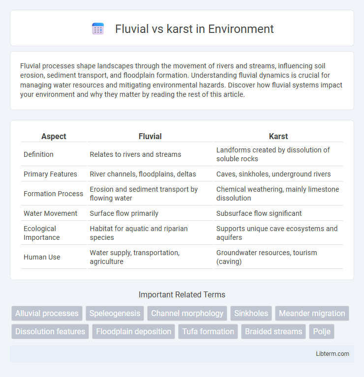 karst vs Fluvial in Environment - What is The Difference?