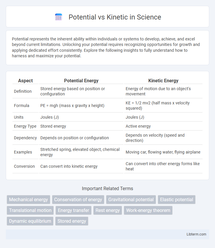 Kinetic vs Potential in Science - What is The Difference?