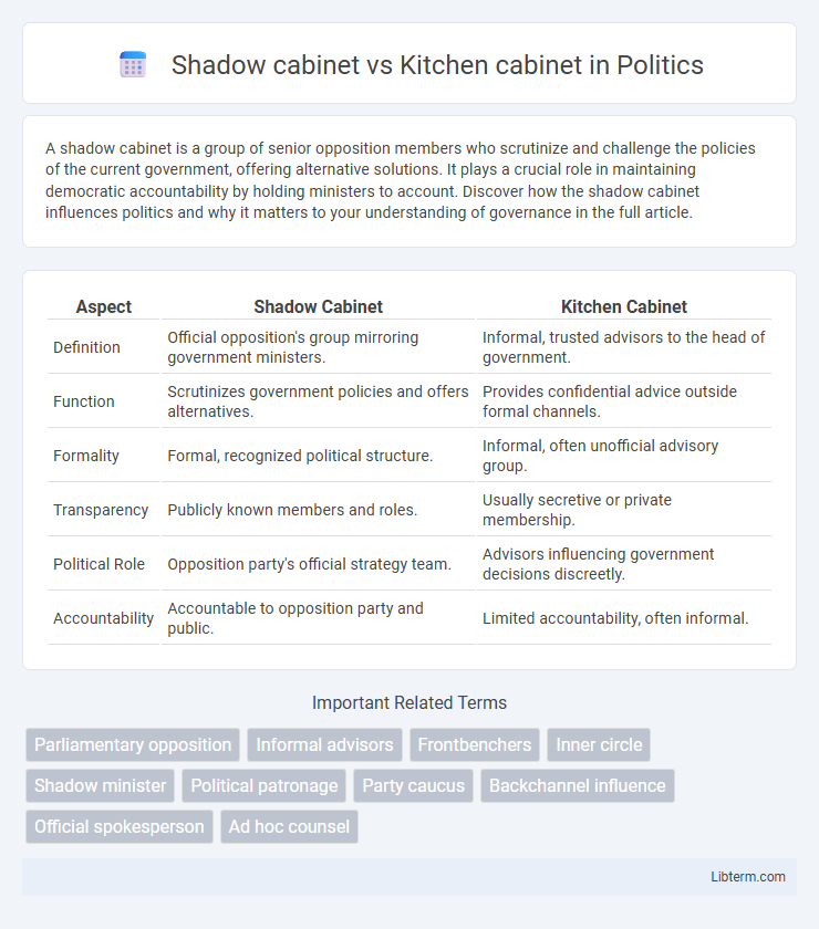 Kitchen cabinet vs Shadow cabinet in Politics - What is The Difference?