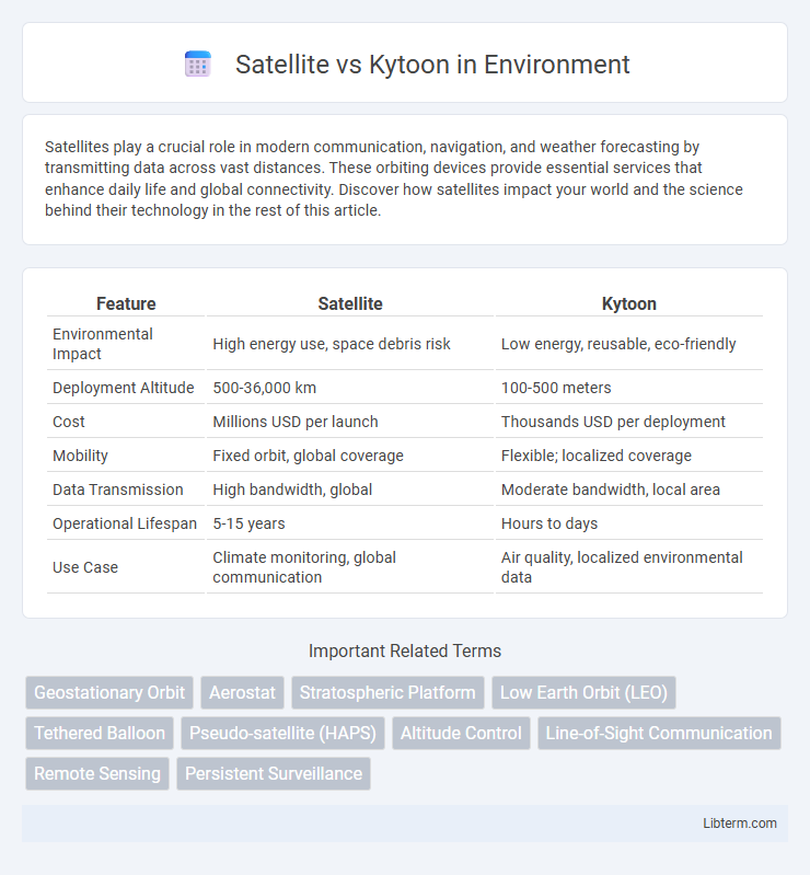 Kytoon vs Satellite in Environment - What is The Difference?