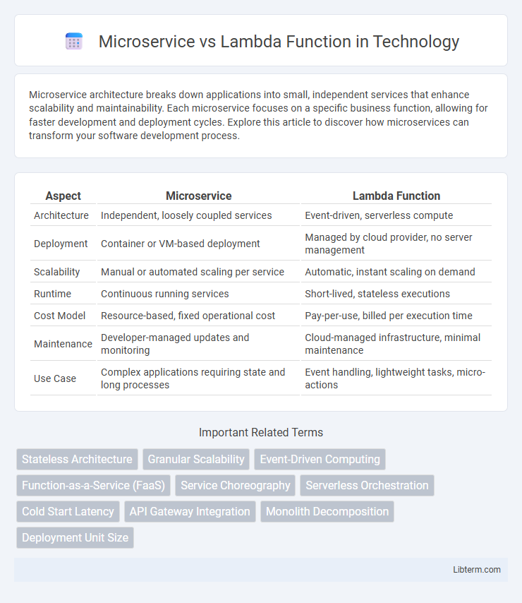 Lambda Function vs Microservice in Technology - What is The Difference?