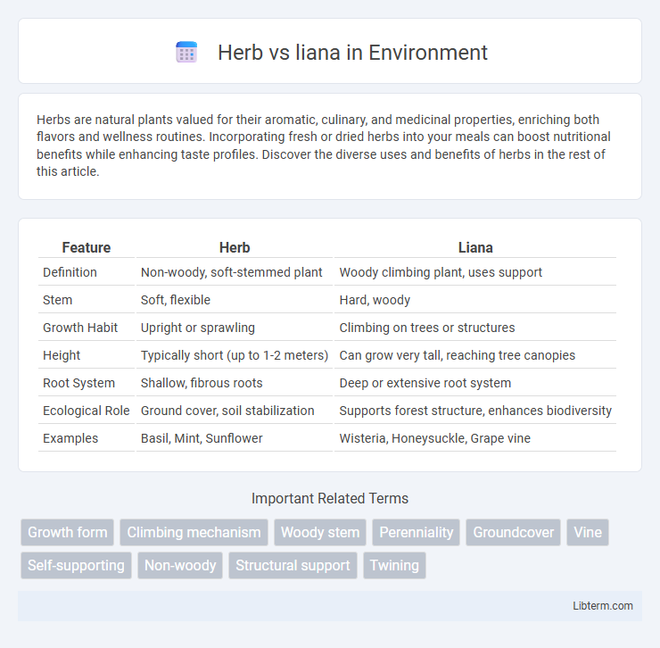 liana vs Herb in Environment - What is The Difference?