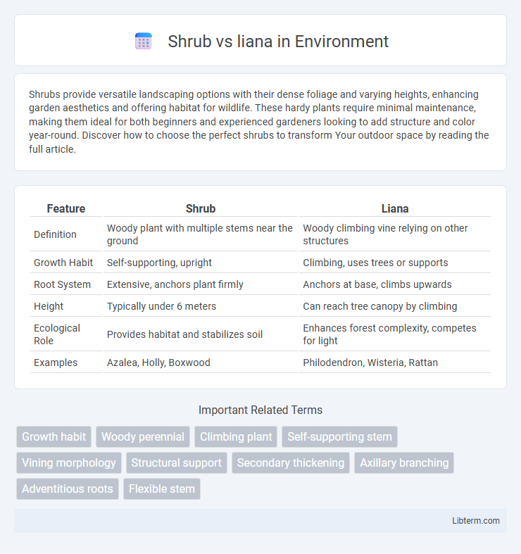 liana vs Shrub in Environment - What is The Difference?