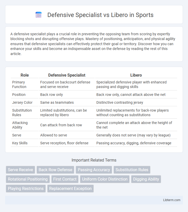 Libero vs Defensive Specialist in Sports - What is The Difference?