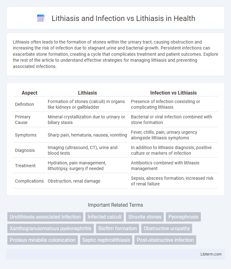 Lithiasis vs Lithiasis and Infection in Health - What is The Difference?