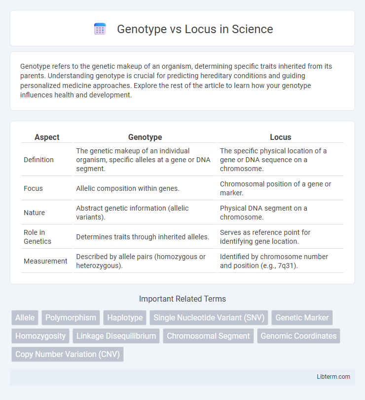 Locus vs Genotype in Science - What is The Difference?