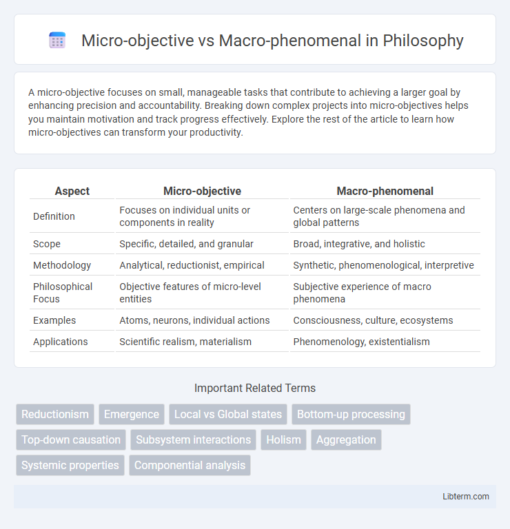 Macro-phenomenal vs Micro-objective in Philosophy - What is The Difference?