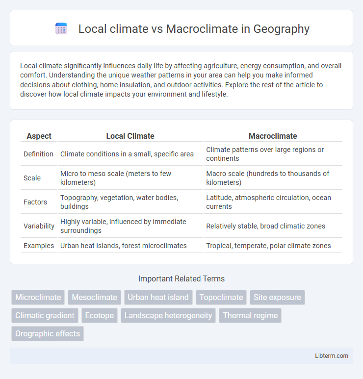 Macroclimate vs Local climate in Geography - What is The Difference?
