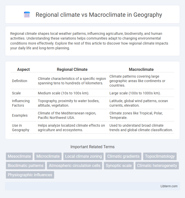 Macroclimate vs Regional climate in Geography - What is The Difference?