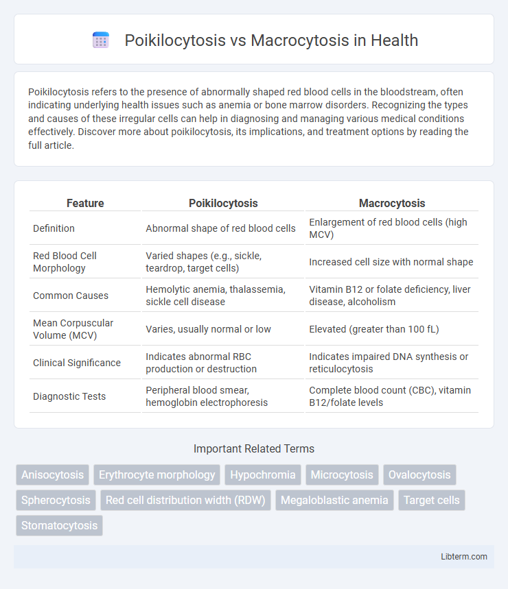 Macrocytosis vs Poikilocytosis in Health - What is The Difference?