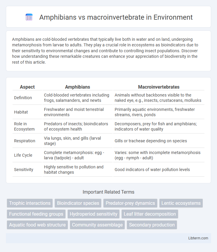 macroinvertebrate vs Amphibians in Environment - What is The Difference?