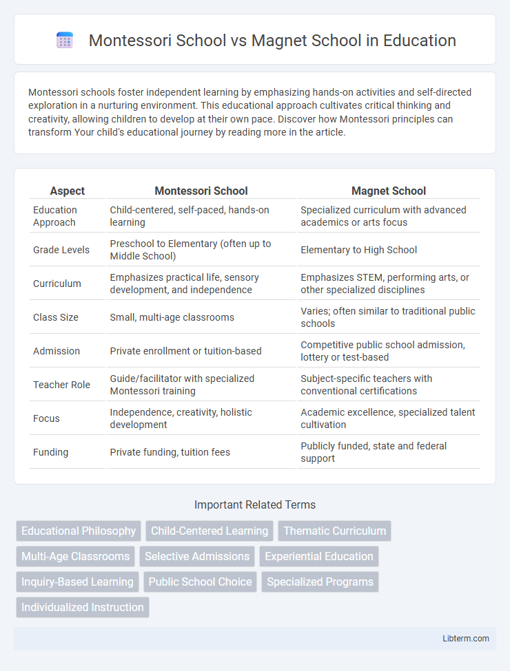 Magnet School vs Montessori School in Education - What is The Difference?