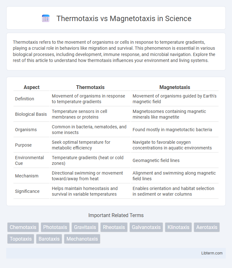 Magnetotaxis vs Thermotaxis in Science - What is The Difference?