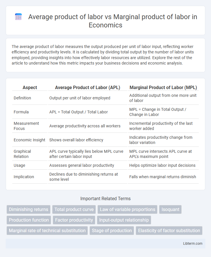 Marginal product of labor vs Average product of labor in Economics - What is The Difference?