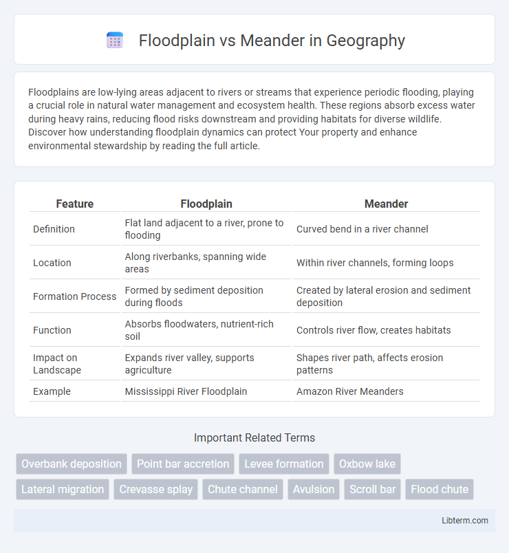 Meander vs Floodplain in Geography - What is The Difference?