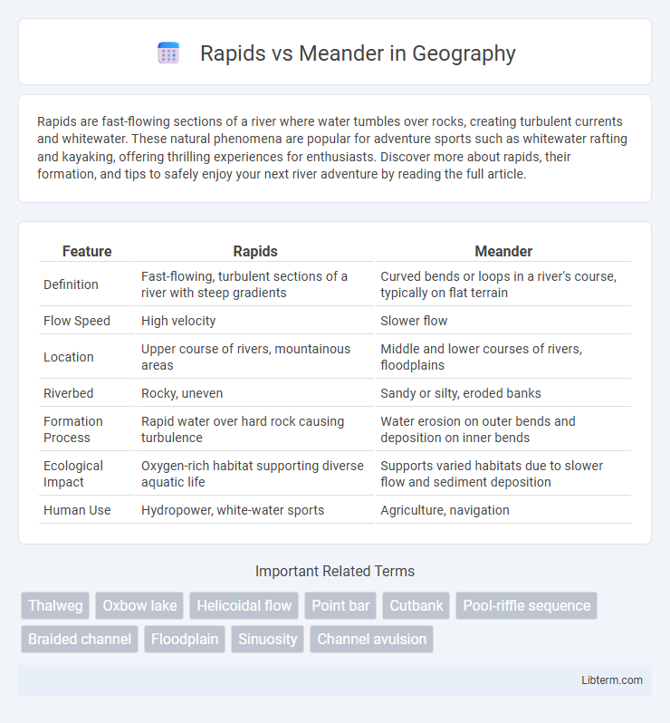 Meander vs Rapids in Geography - What is The Difference?