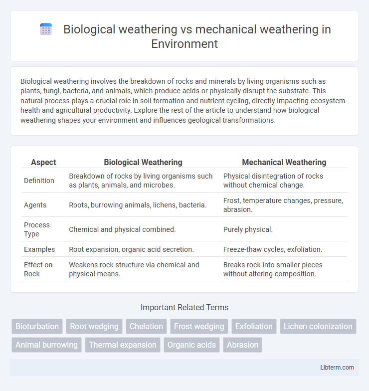 mechanical weathering vs Biological weathering in Environment - What is The Difference?