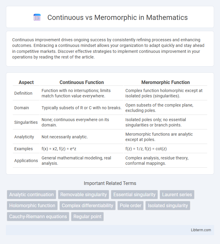 Meromorphic vs Continuous in Mathematics - What is The Difference?