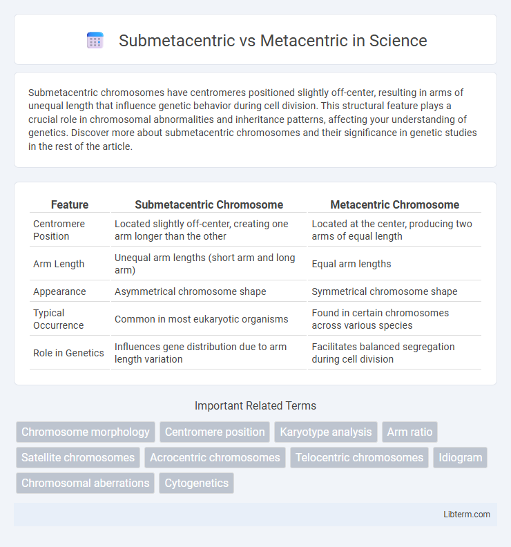 Metacentric vs Submetacentric in Science - What is The Difference?