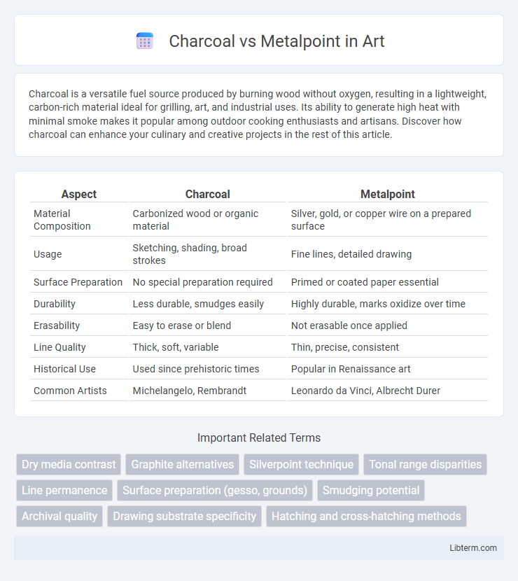 Metalpoint vs Charcoal in Art - What is The Difference?