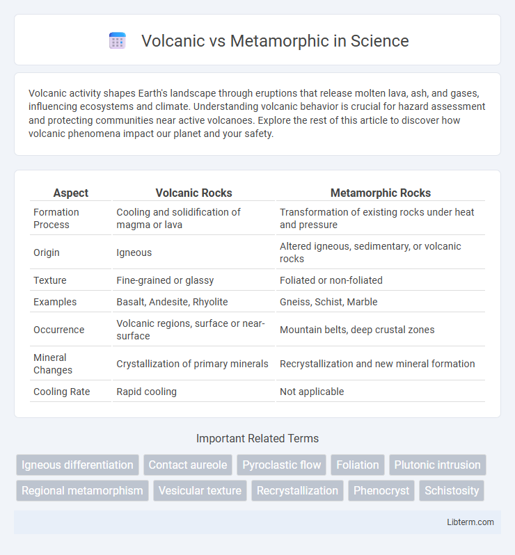 Metamorphic vs Volcanic in Science - What is The Difference?