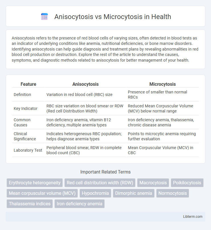 Microcytosis vs Anisocytosis in Health - What is The Difference?