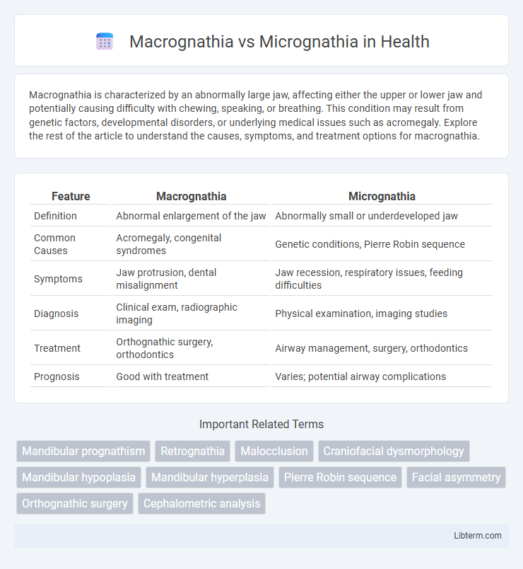 Micrognathia vs Macrognathia in Health - What is The Difference?