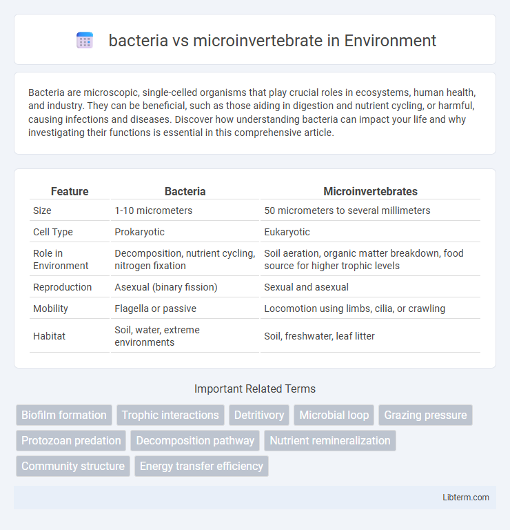 microinvertebrate vs bacteria in Environment - What is The Difference?