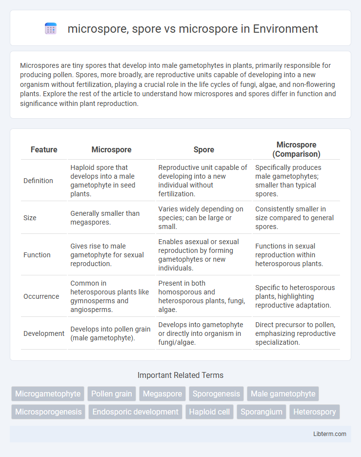 microspore vs microspore, spore in Environment - What is The Difference?