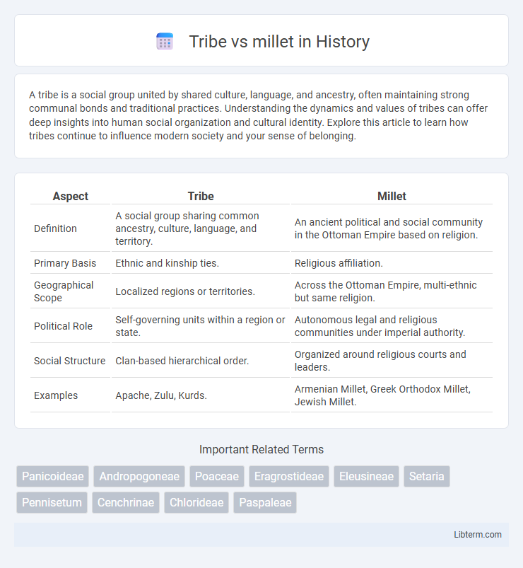 millet vs Tribe in History - What is The Difference?