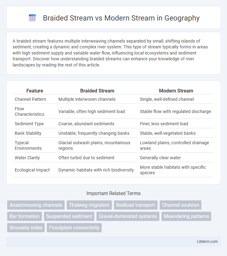 Modern Stream vs Braided Stream in Geography - What is The Difference?
