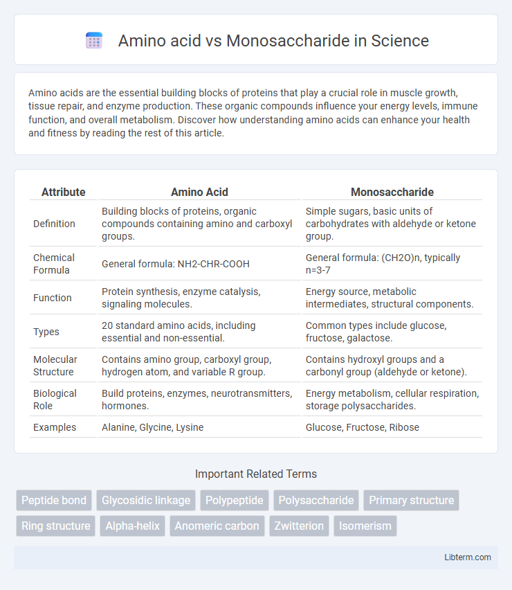 Monosaccharide vs Amino acid in Science - What is The Difference?