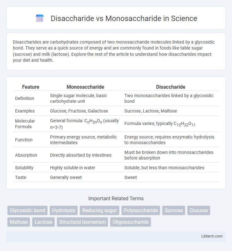Monosaccharide vs Disaccharide in Science - What is The Difference?