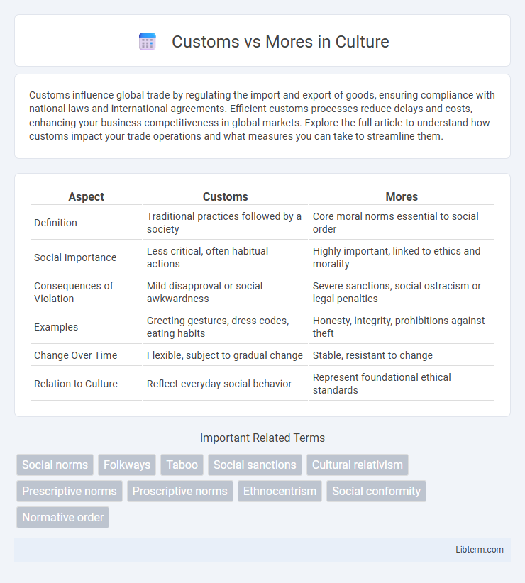 Mores vs Customs in Culture - What is The Difference?