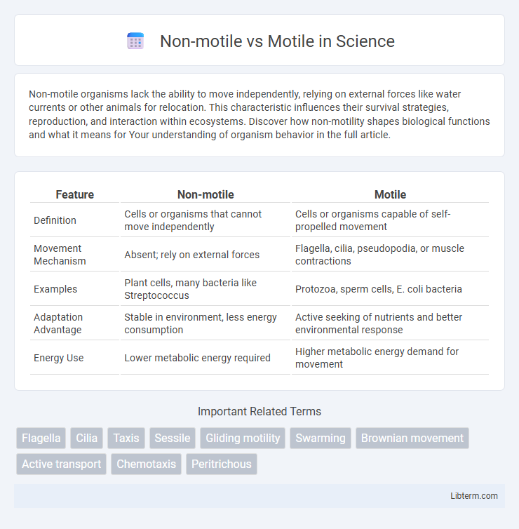 Motile vs Non-motile in Science - What is The Difference?