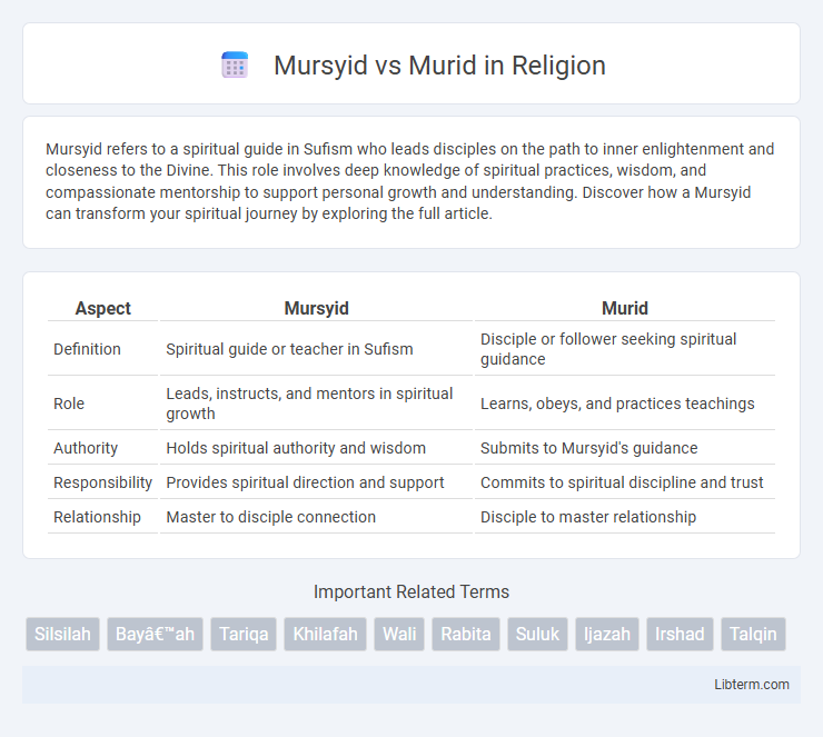 Murid vs Mursyid in Religion - What is The Difference?