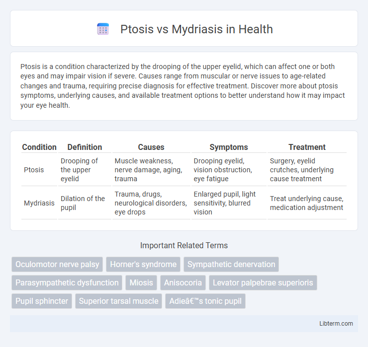 Mydriasis vs Ptosis in Health - What is The Difference?