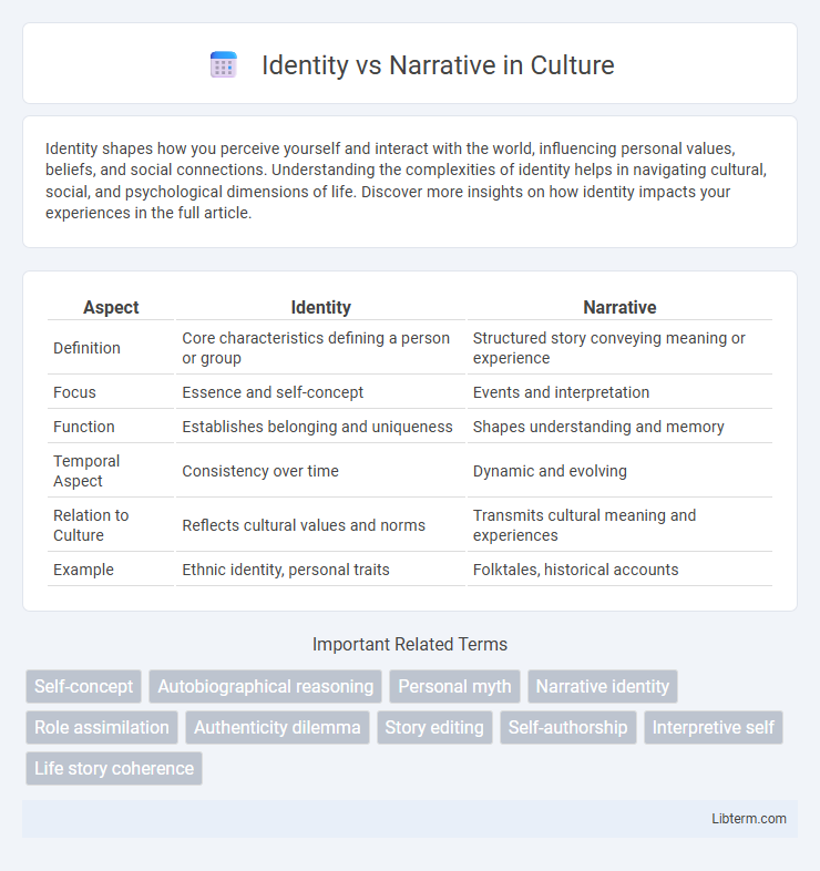 Narrative vs Identity in Culture - What is The Difference?